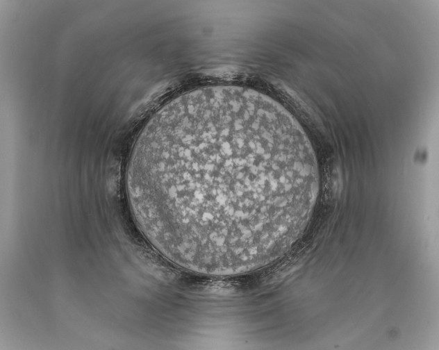 X0000089960656200707201950