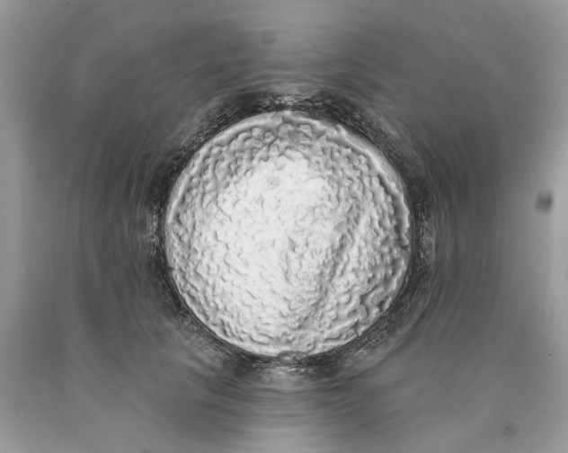 X0000089960657200707201950