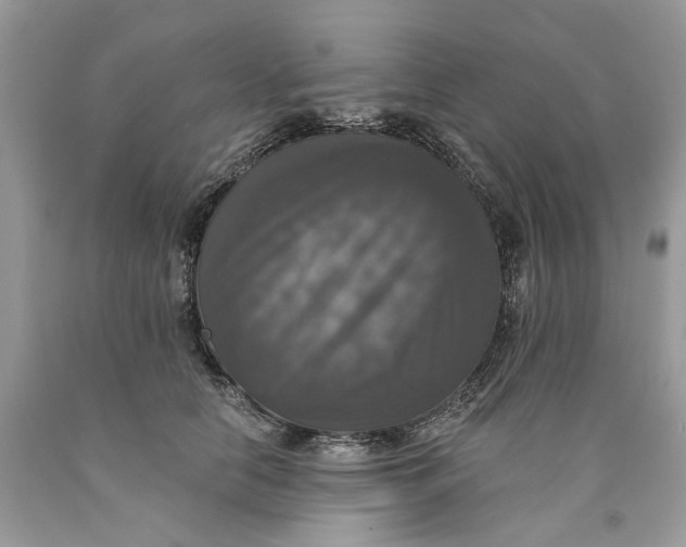 X0000089960658200707201950