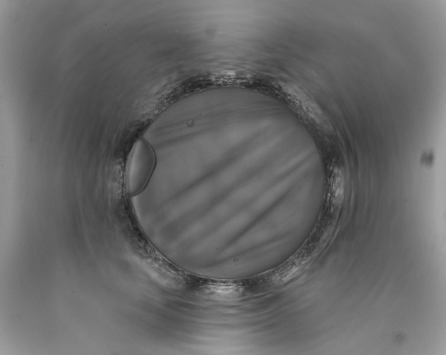 X0000089960659200707201950