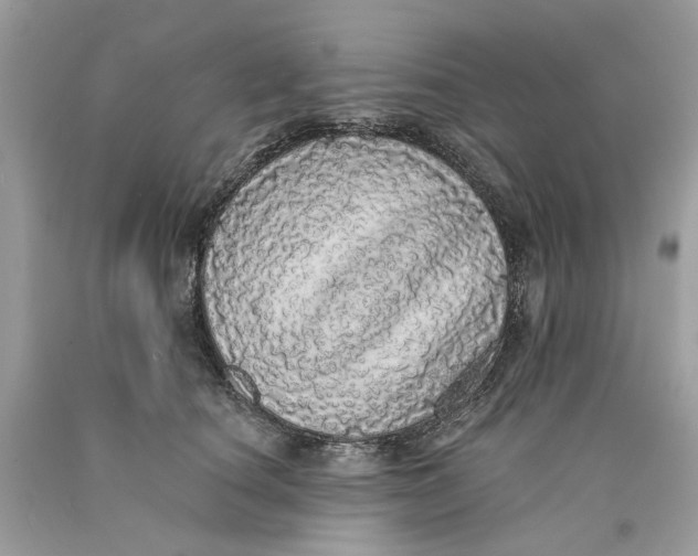 X0000089960660200707201950