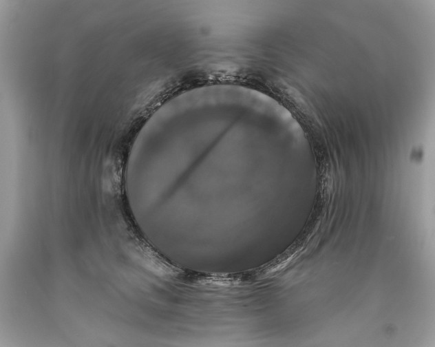 X0000089960661200707201950