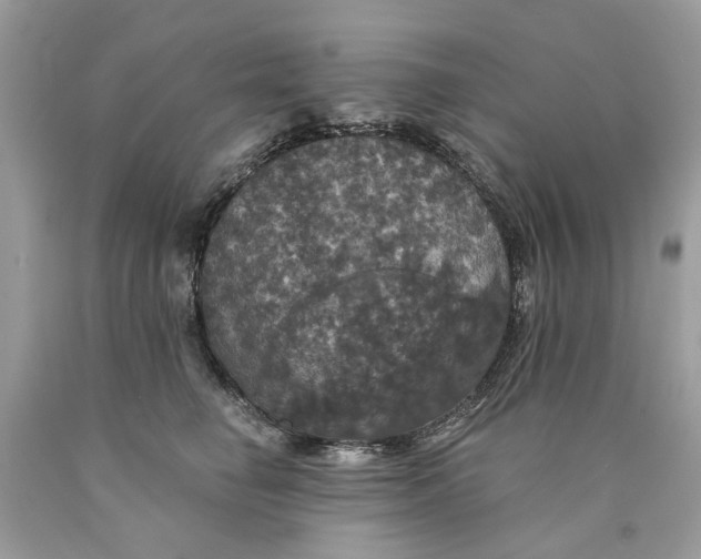 X0000089960662200707201950