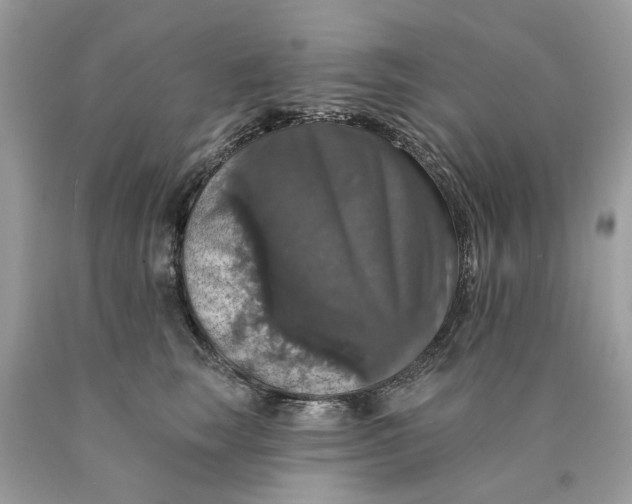 X0000089960663200707201950