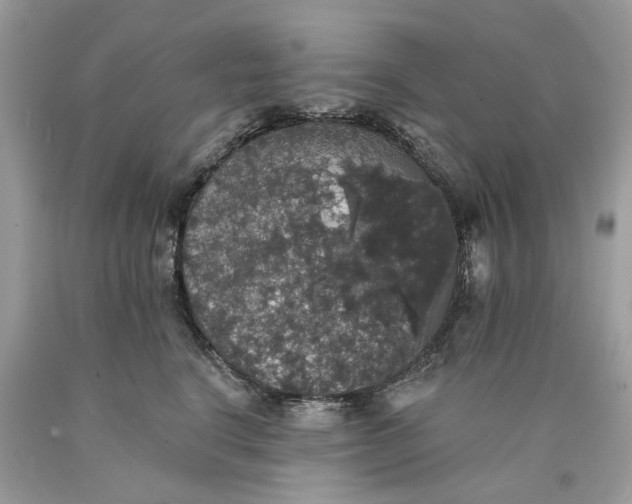 X0000089960664200707201950