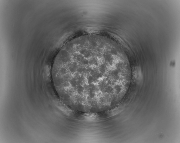 X0000089960667200707201950