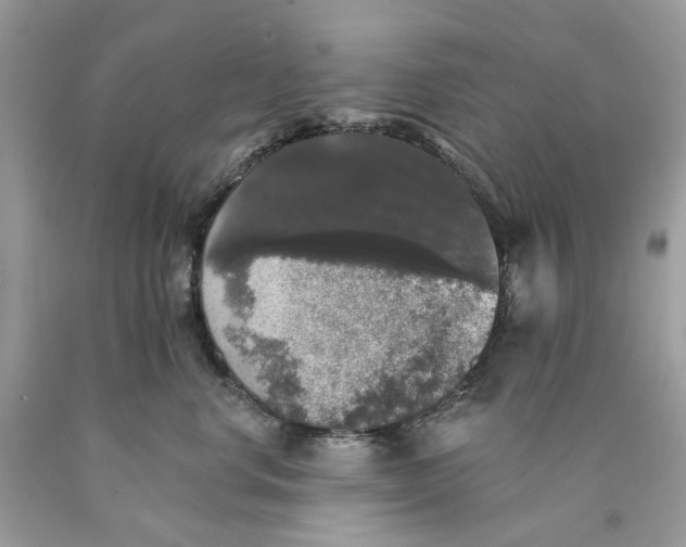 X0000089960668200707201950