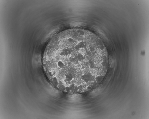 X0000089960670200707201950