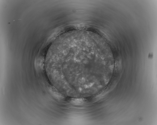 X0000089960671200707201950