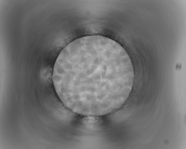 X0000089960672200707201950