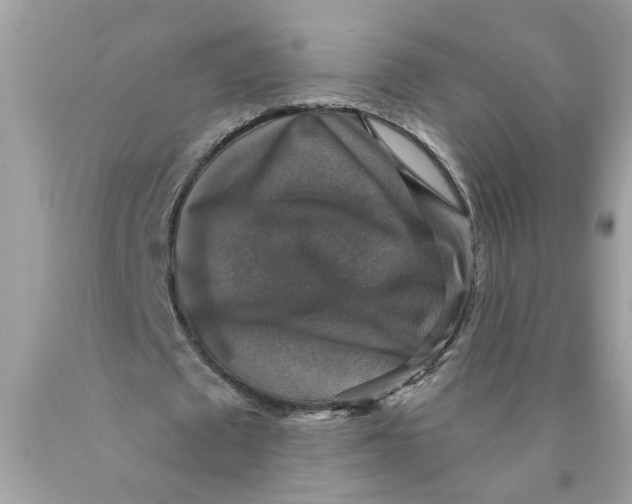 X0000089960673200707201949