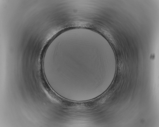 X0000089960674200707201949