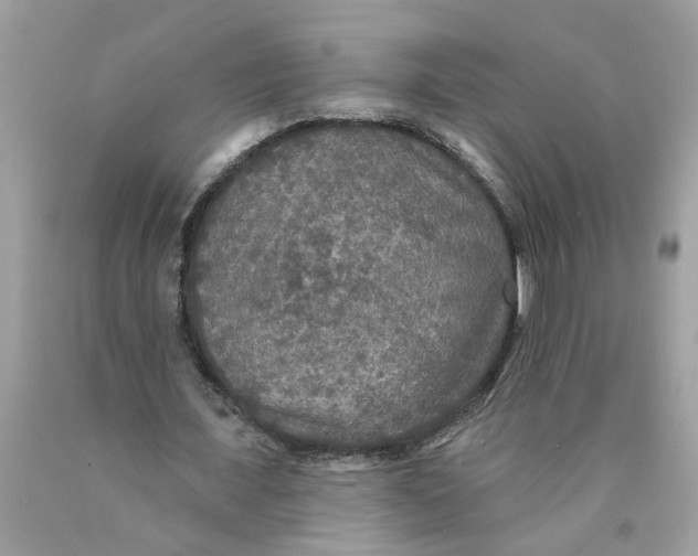 X0000089960675200707201949