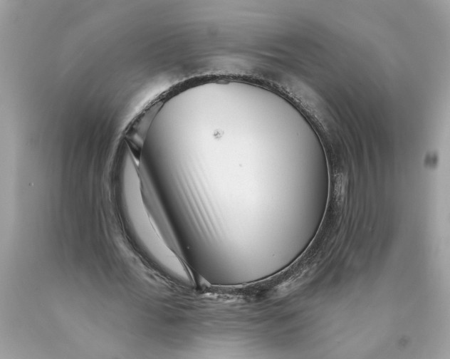 X0000089960676200707201949