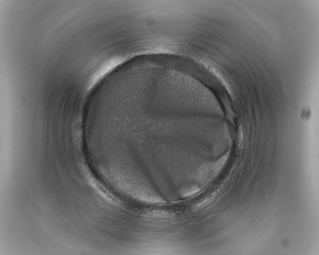 X0000089960677200707201949