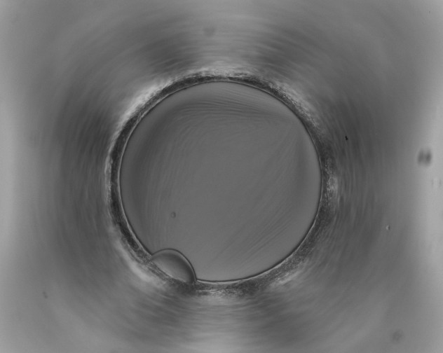 X0000089960678200707201949