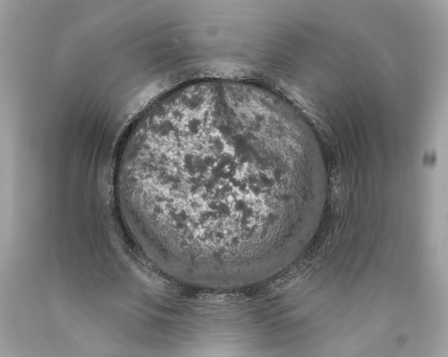 X0000089960679200707201949