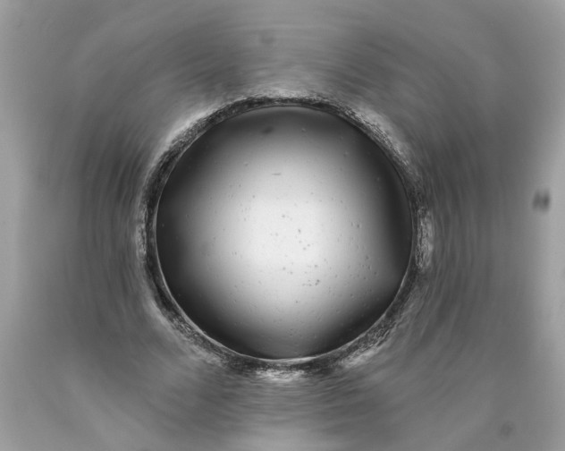 X0000089960680200707201949