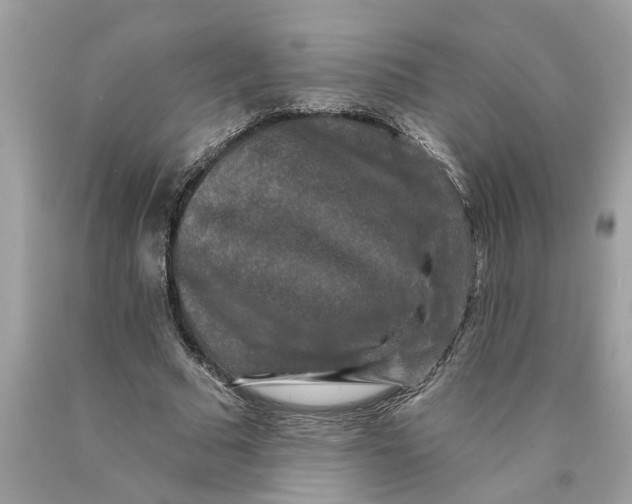 X0000089960681200707201949