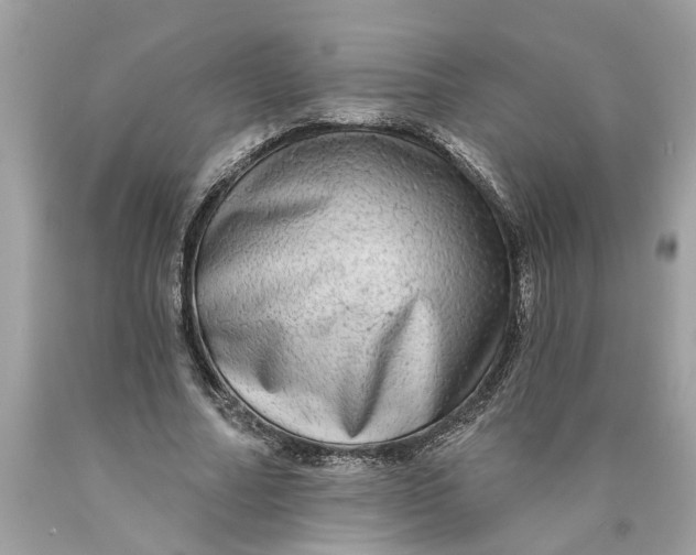 X0000089960682200707201949