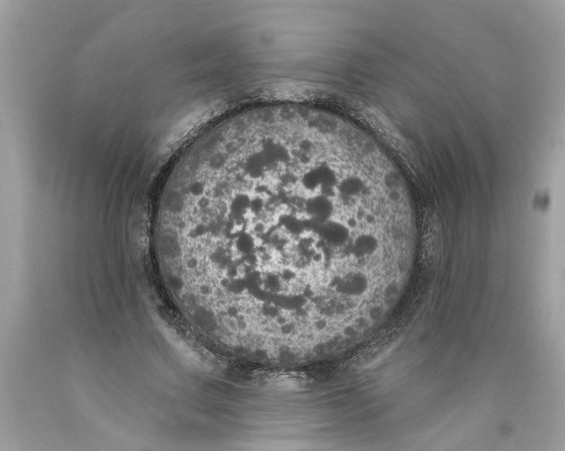 X0000089960683200707201949