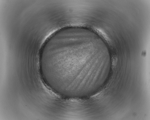 X0000089960684200707201949