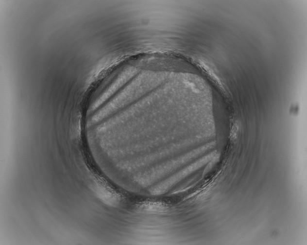 X0000089960685200707201949