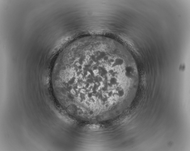 X0000089960687200707201949