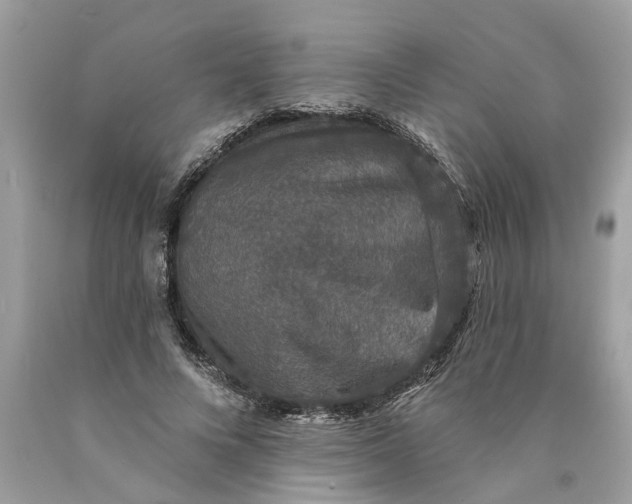 X0000089960688200707201949