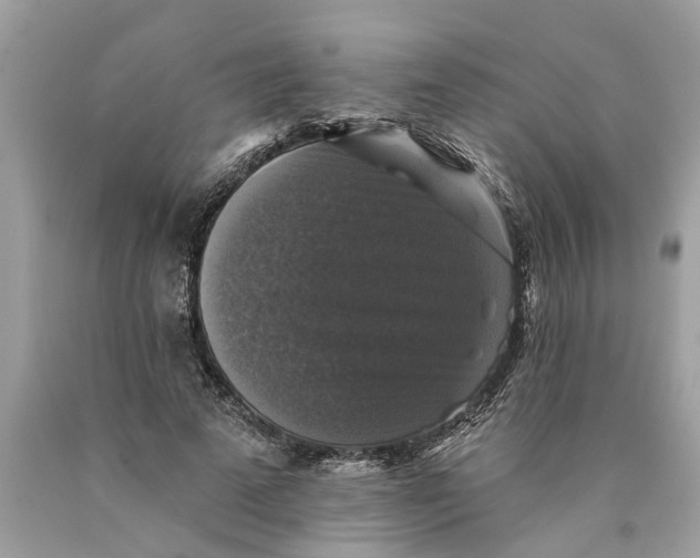 X0000089960689200707201949