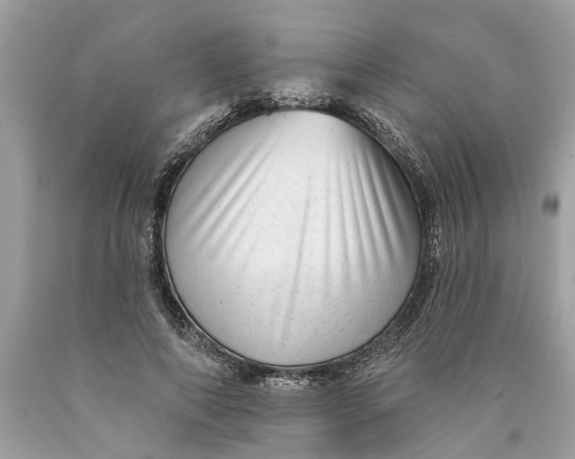 X0000089960690200707201949