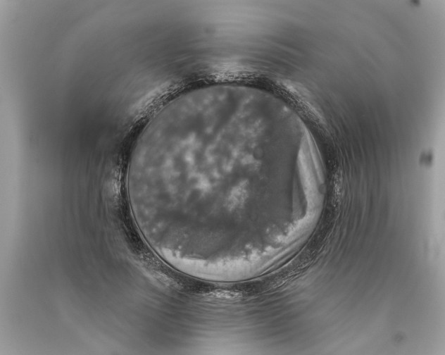 X0000089960691200707201949