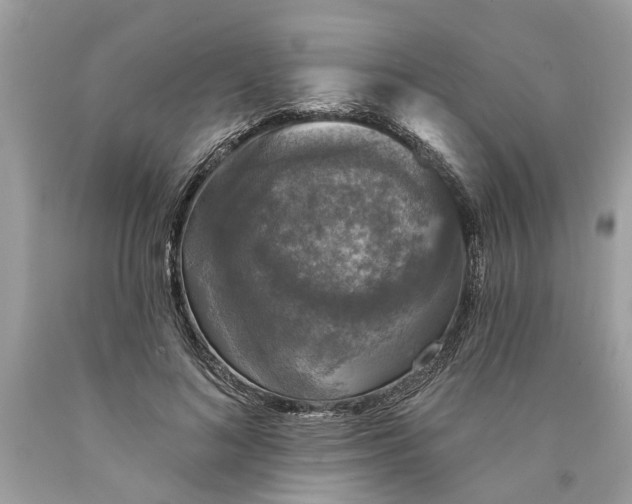 X0000089960692200707201949