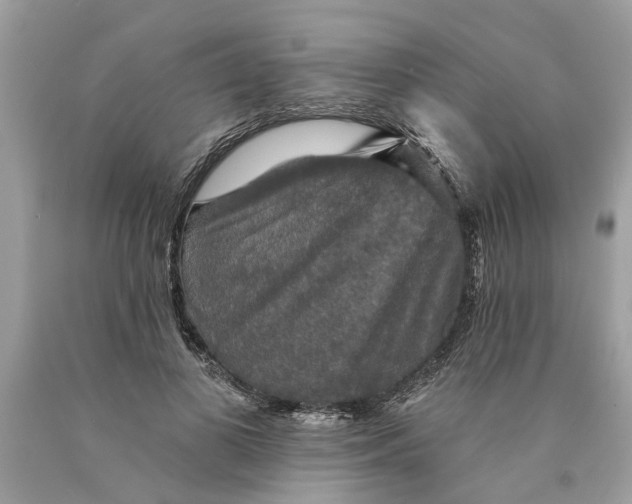 X0000089960693200707201949