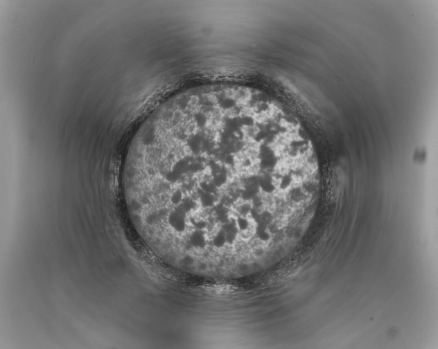 X0000089960695200707201949