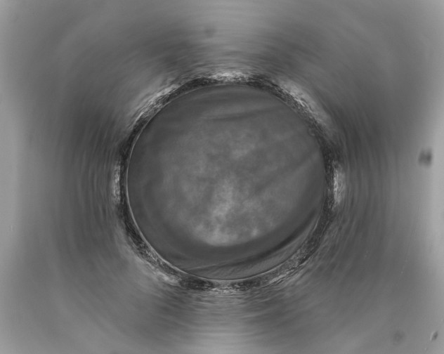 X0000089960696200707201949