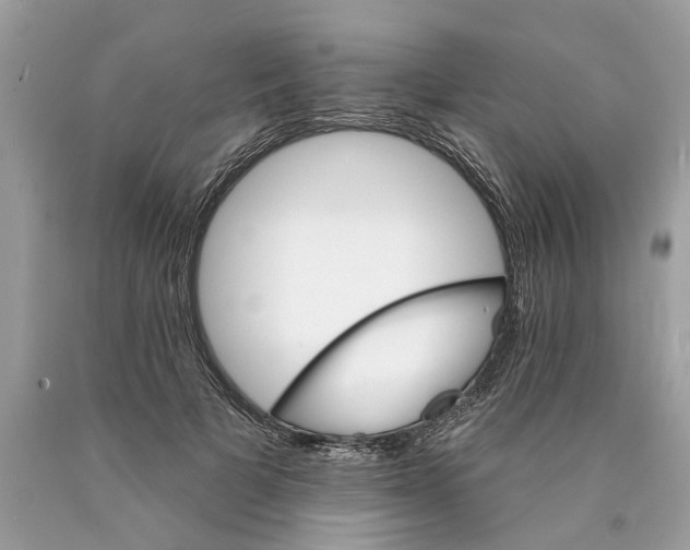 X0000089960697200707201949