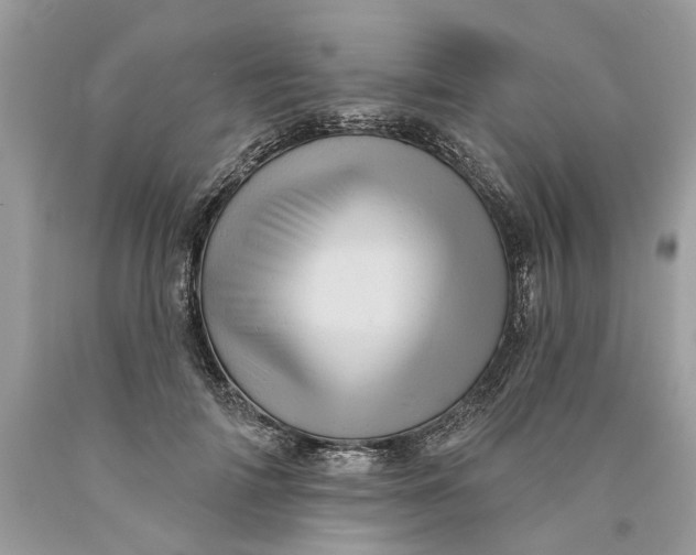 X0000089960698200707201949