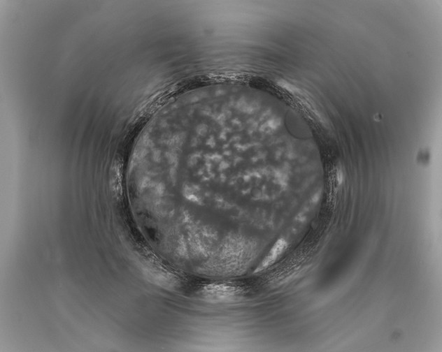 X0000089960699200707201949