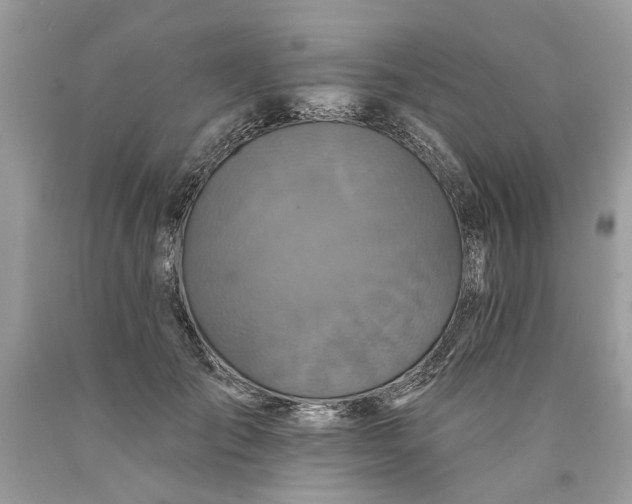 X0000089960701200707201949