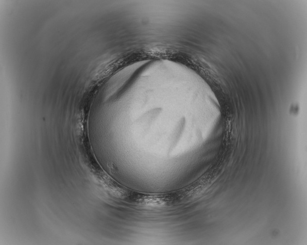 X0000089960702200707201949