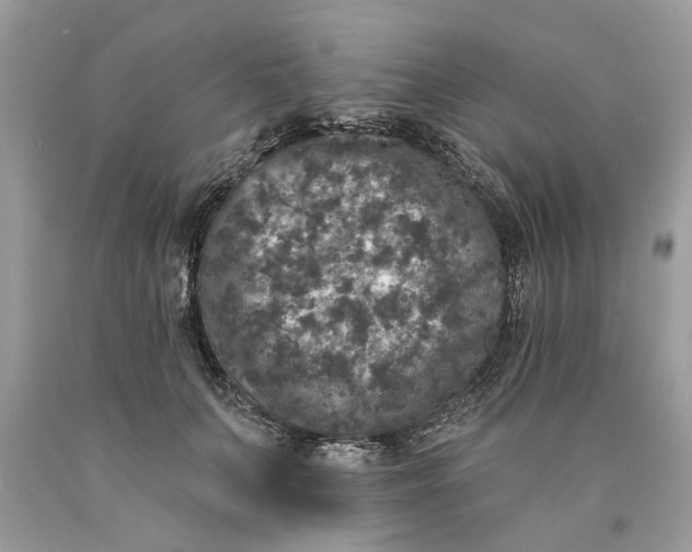 X0000089960703200707201949