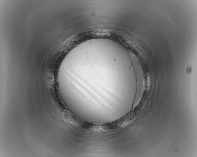 X0000089960704200707201949