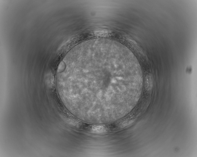 X0000089960705200707201949