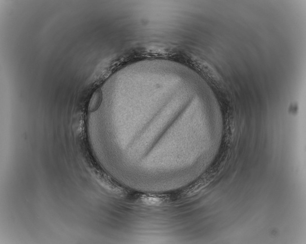 X0000089960706200707201949