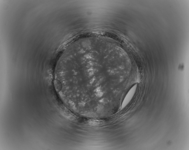 X0000089960707200707201949