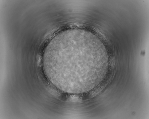 X0000089960709200707201949