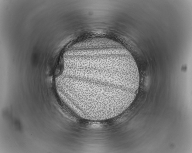 X0000089960710200707201949