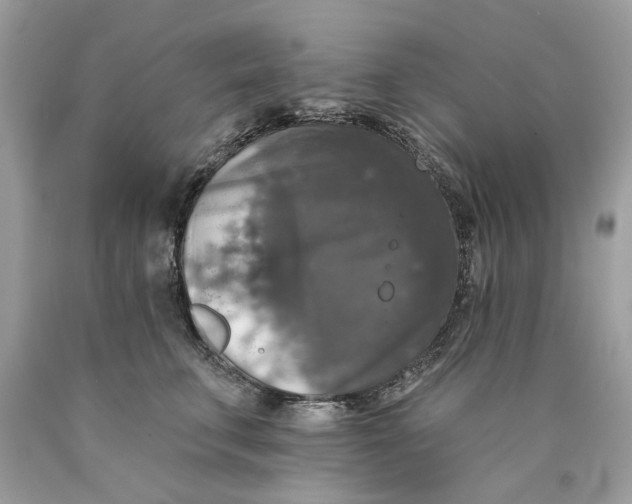 X0000089960711200707201949