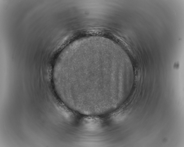 X0000089960712200707201949